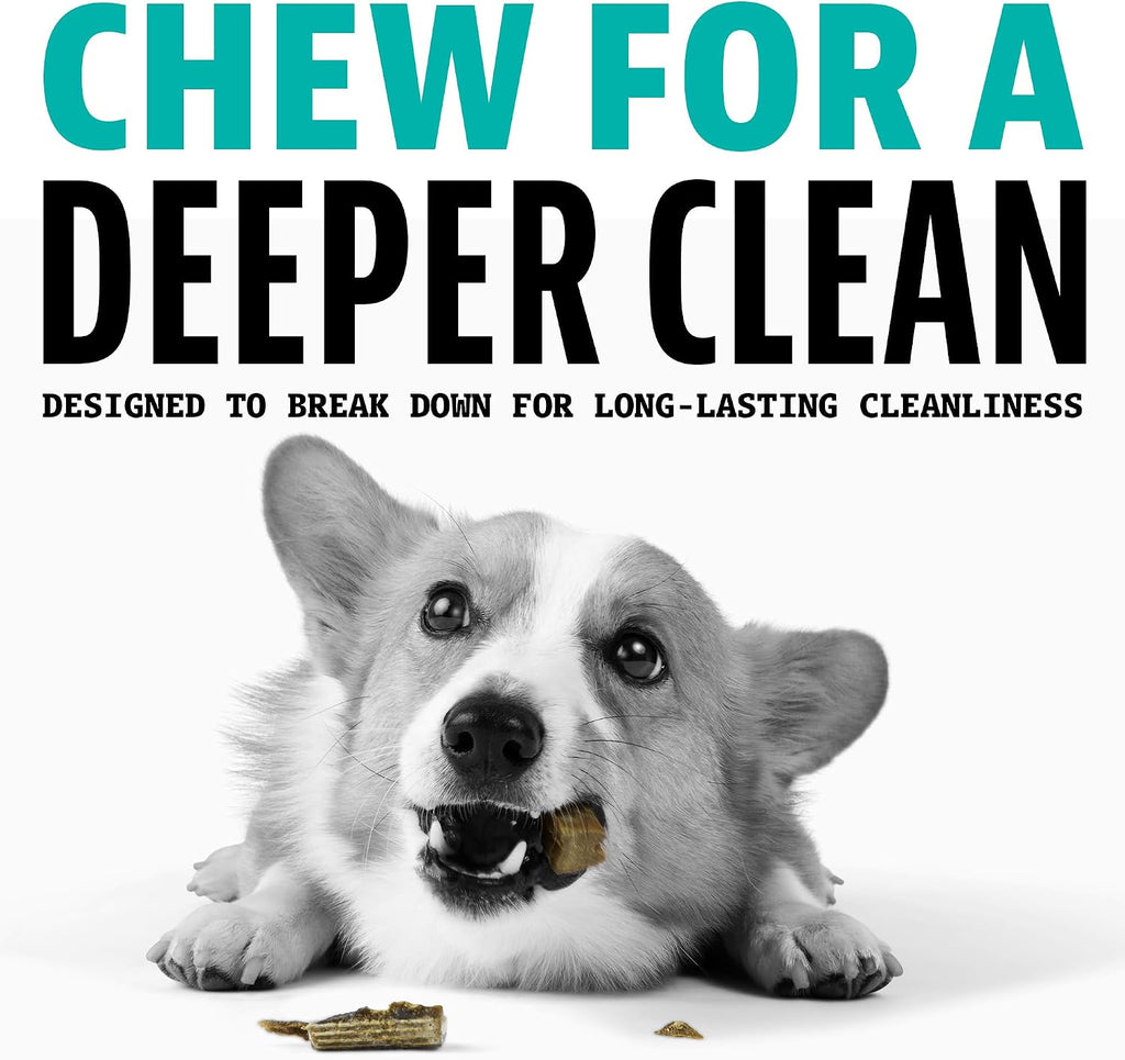 Dinovite Daily Dental Chews for Medium Dogs, Freshens Breath, Mint, 20 CT