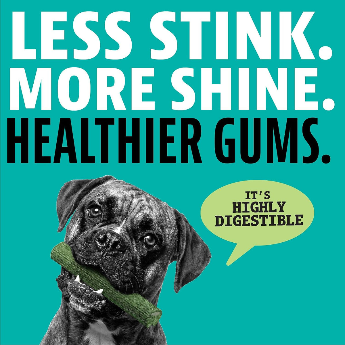 Dinovite Daily Dental Chews for Medium Dogs, Freshens Breath, Mint, 20 CT